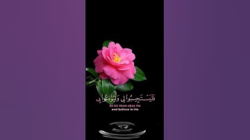 صباح الخير🌺 حالات واتس اب مقاطع قصيره🌺 قران كريم وإذا سألك عبادي عني🌺عبد الباسط عبد الصمد🌺بدون حقوق