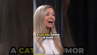 How to identify cat fatty tumors/lipomas #cathealth #lipoma #fattytumor #naturalsolutions