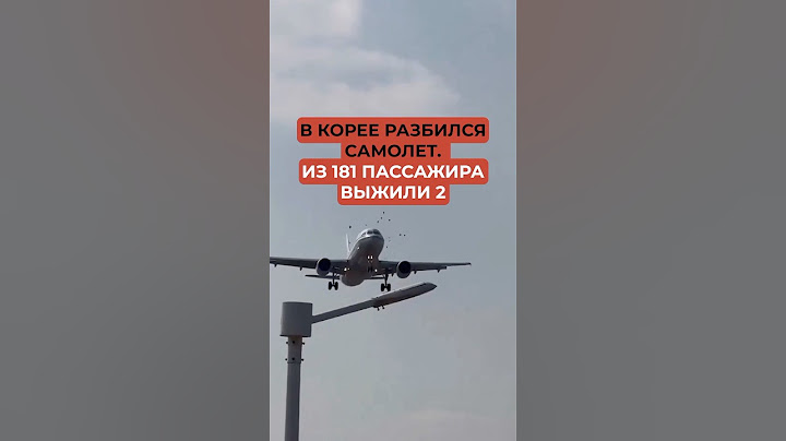 Срочно! В Корее разбился самолет. Из 181 пассажира выжили 2