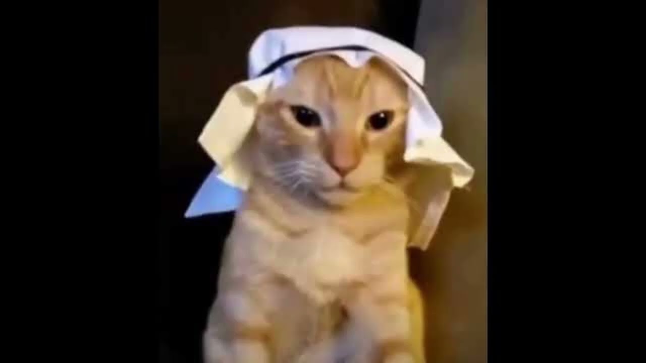 curse of the pharaoh ahh beat