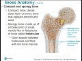 2113 Chapter 6 - Skeletal System Part A