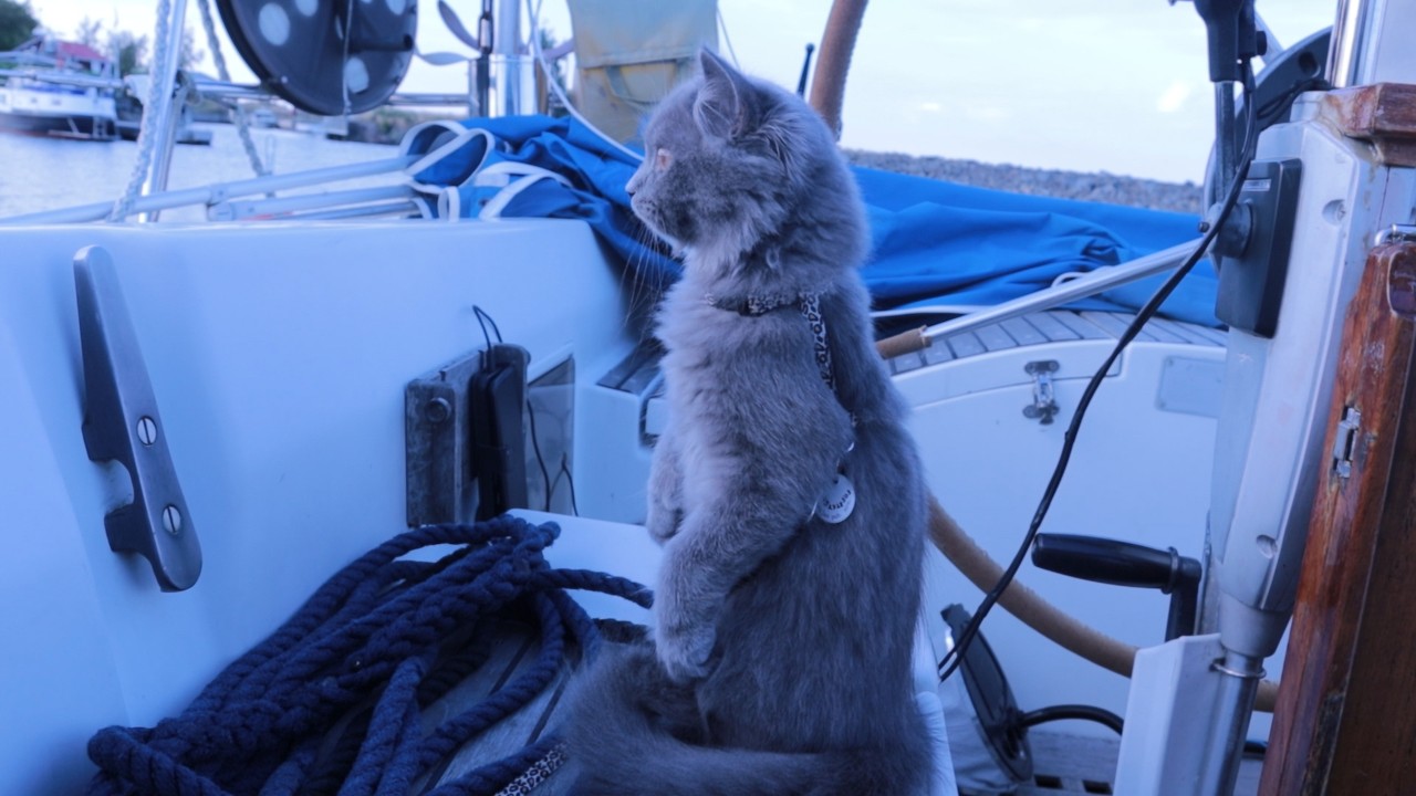 ⁣Kokkola, Tankkari. Uuden kärpäsen pyydystäjän koulutusta ja fiksailuja
