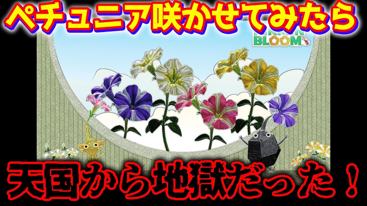 【ピクミンブルーム】ペチュニア咲かせてみたら天国から地獄だった！【Pikmin Bloom】