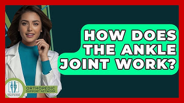 How Does The Ankle Joint Work? - Orthopedic Support Network