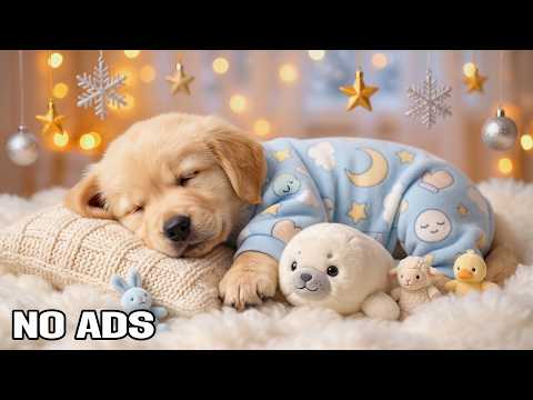 12 Hours of Calming Dog Music 🐶💖 Separation Anxiety Relief and Deep Sleep Support 🐾💤 No Ads