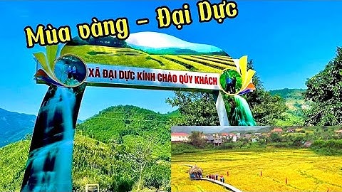 Những Trải Nghiệm Thú Vị Về Lễ Hội Mùa Vàng Đại Dực 2022