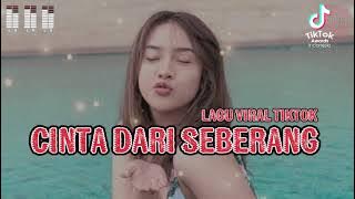 LAGU VIRAL TIKTOK JOGET PANDANG PANDANG CINTA DARI SEBERANG REMIX TERBARU 2025
