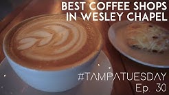 Tampa Tuesday 30 - Best Coffee Shops In Wesley Chapel 