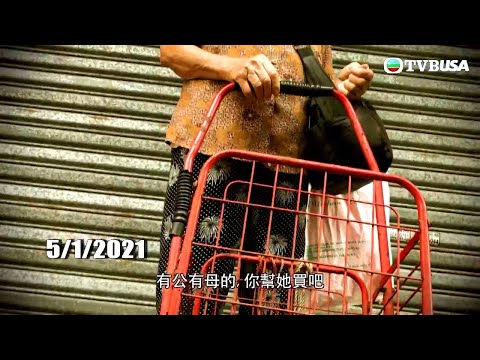 東張西望 | 揭婆婆非法兜售唐狗背後來龍去脈