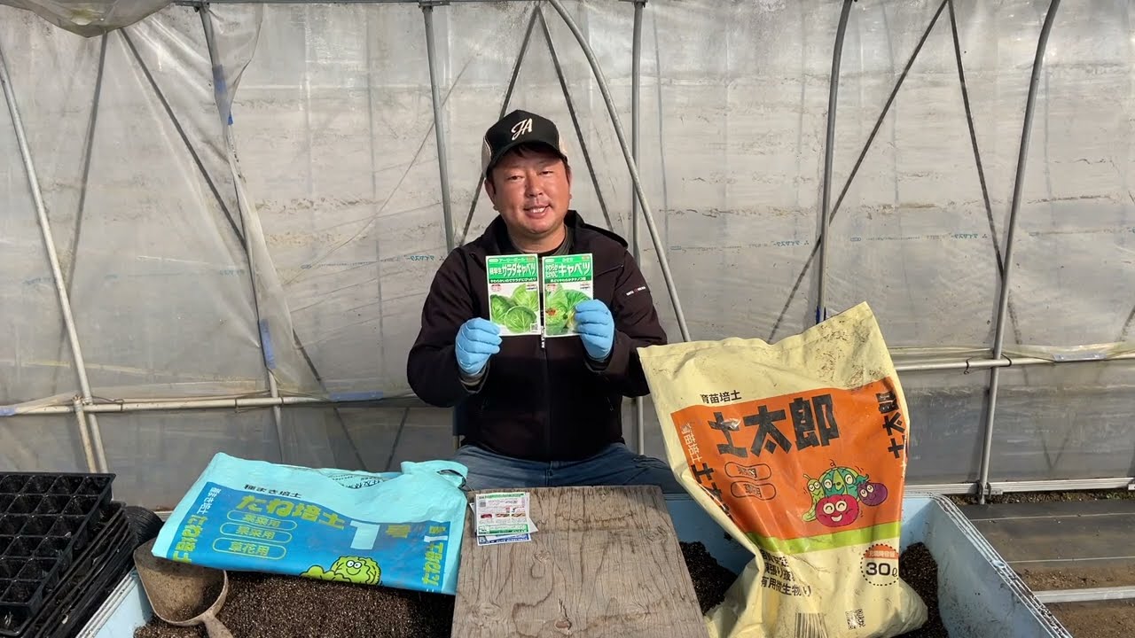 【春野菜】種から苗を育てる方法/発芽を上手に揃える栽培のコツ（春キャベツ栽培・育て方）