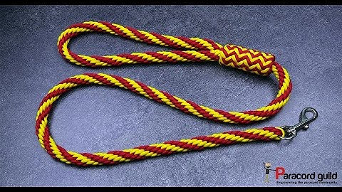 Kumihimo paracord dog leash- a bit fancy