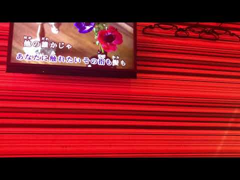 COLOR／君のいない道　(cover)