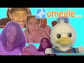 Donald looks for Baddies (omegle trolling funny)