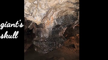 Giants of the caves: Dan y ogof caves revisited.
