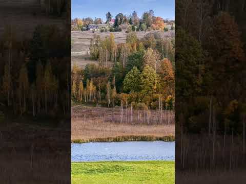 Что такое #осень ? #ддт #ai #song #songs #music полное видео на канале