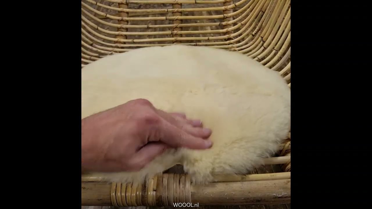 WOOOL Schapenvacht Chairpad - Medicinaal (Video)