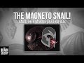 The MAGNETO SNAIL! (and other marine gastropods)