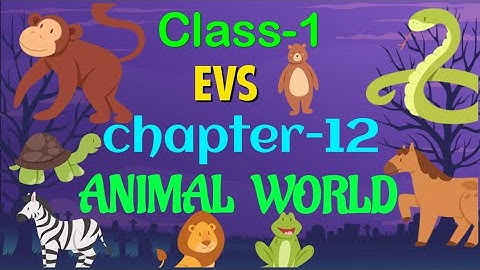 #class1||EVS||Chapter-12||Animal World 🌎Cordova smart learning  with Vijyoaccounts||Hindi & English