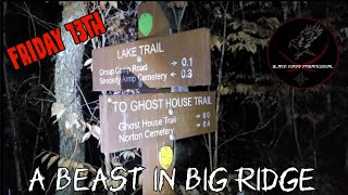 A Beast in Big Ridge (An Investigation)