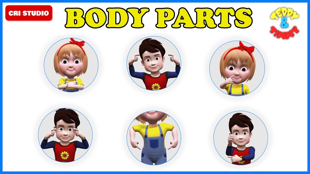 Learn Human Body Parts Names | Parts of Human Body & Bodyparts for Kids