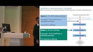 Famous Michael Phelps, PhD University of California-Los Angeles Wealth