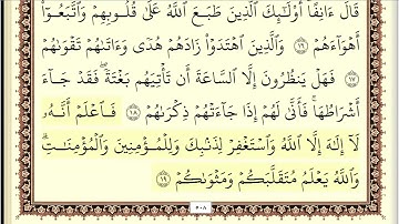 ايمن سويد سورة محمد مكتوبة جودة عالية Quran Karem