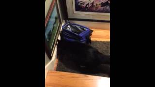 Hanky-Panky The Wonder Cat, Episode 4 Cat And Mouse