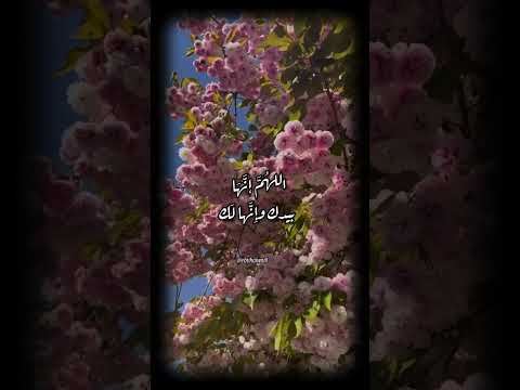 اللهم ارحم ارواحا كانت بيننا