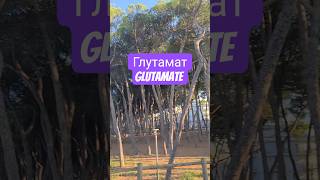 Глутамат искра духа и энергия рождения движения#глутамат #glutamate #brain #искравнутри #творчество
