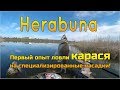 ✅Карась на тесто! Рыбалка в стиле ХЕРАБУНА!