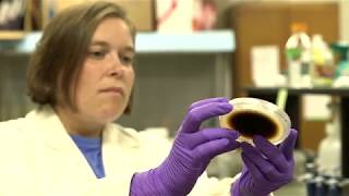 Mountain Horticultural Crops Research and Extension Center