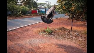 🔴 Live Roadside View | Outdoor CCTV Camera CCTV LIVE CAM