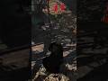 Luck? In my experience there is no such thing. #assassinscreed #acblackflag