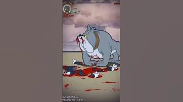 شاهد كيف مات توم وجيري 
