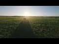 In the field at sunset | FPV Cinematic