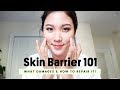 The Cheapest & Most Effective Skincare : Skin Barrier • How To Repair It
