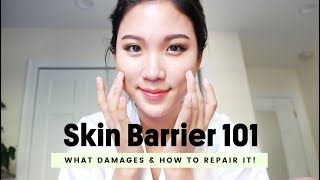 The Cheapest & Most Effective Skincare : Skin Barrier • How To Repair It