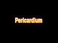 What Is The Definition Of Pericardium Medical School Terminology Dictionary