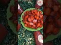#strawberry#juice#shortvideo #yammey #lovesong #love #cakes by parve#🍓🍓🍓🫶🏻🫶🏻💯