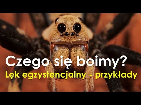 Wideo: Czym Jest Kryzys Egzystencjalny, Czyli Dlaczego Nie Każdy Lubi Weekend