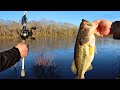 FAT BASS Caught In FLOODED RIVER! (Homeless Camp)