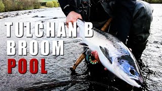 Tulchan B Broom Pool - The Far Side: Atlantic Salmon on the River Spey