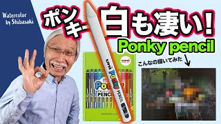 [Eng sub] I’ll Try “Ponky Pencil” to Draw - with “White Pencil”