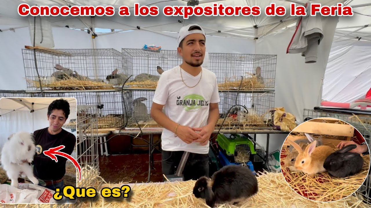 Entrevista a los Criadores de Conejos en la FERIA DEL CONEJO 🐰🤠 - YouTube