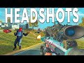 So Many Paladin Headshots! | Blackout PS4 | Call Of Duty