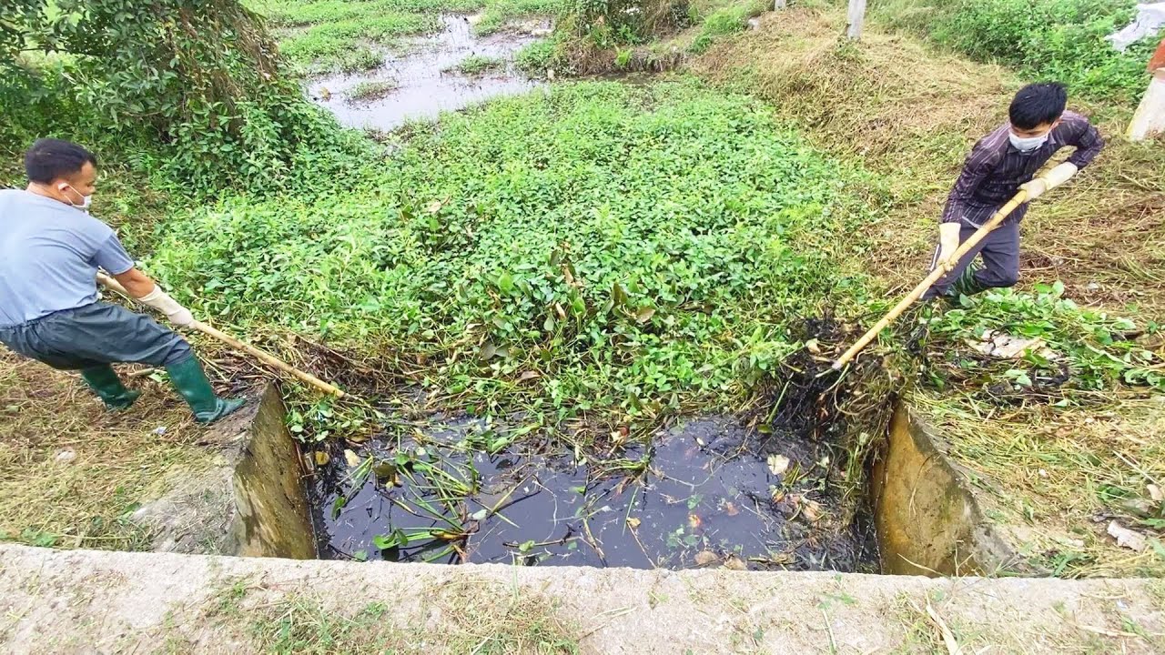 Let's mow the lawn and remove the carpets that cause fresh water drains