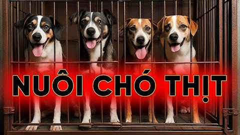 TỪ A - Z KỸ THUẬT NUÔI CHÓ THỊT