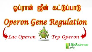 Operon concept in tamil | LIFESCIENCE TAMIL | TRB ZOOLOGY | TNSET LIFESCIENCE | TNPSC | NEET