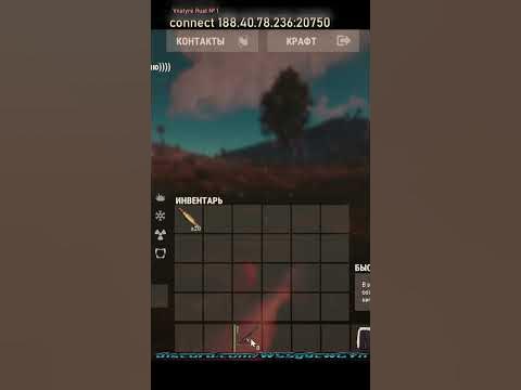 как ДЮПАТЬ патроны в РАСТ / RUST бесплатные патроны РАСТ БАГ ГЛЮК - YouTube