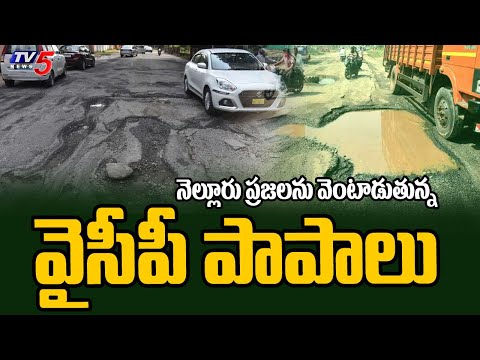 నెల్లూరు ప్రజలను వెంటాడుతున్న వైసీపీ పాపాలు : Pubic Facing Problems With Damaged Roads In Nellore - TV5NEWS